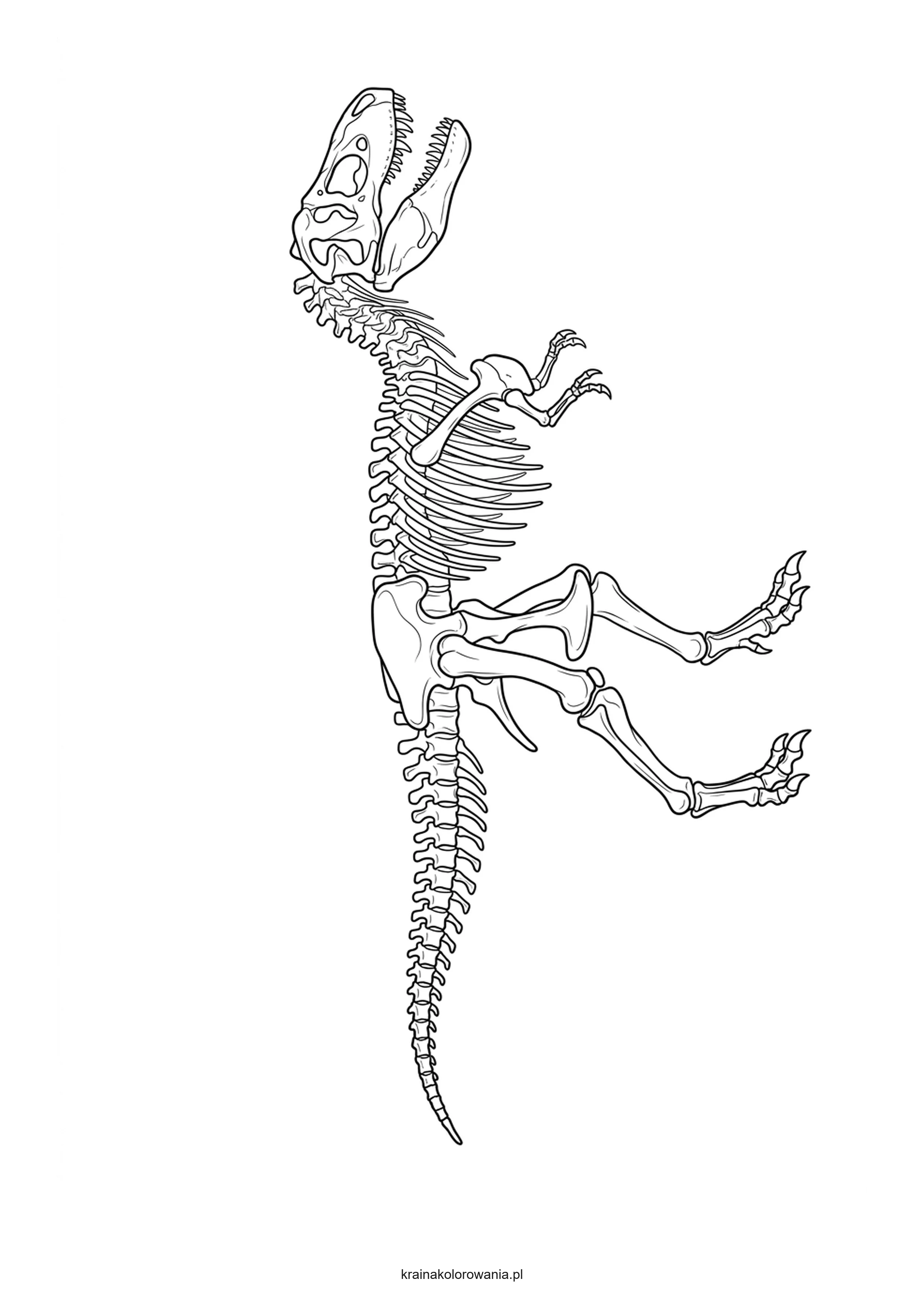 Precyzyjna kolorowanka T-Rex z teksturowanymi łuskami